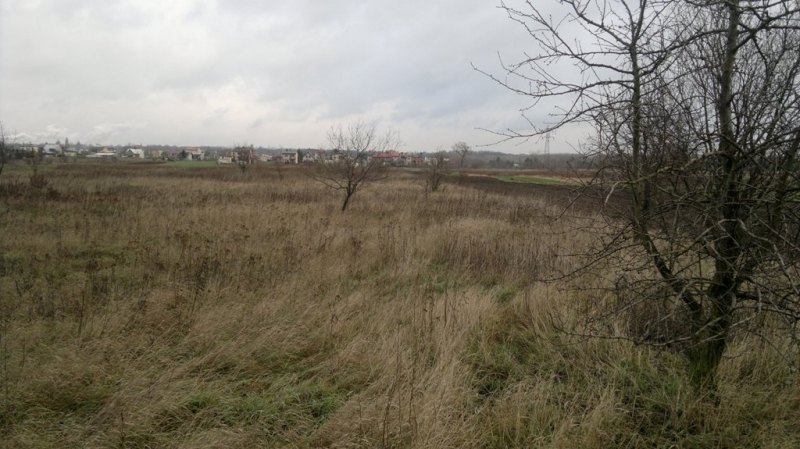 Nowe Grunty