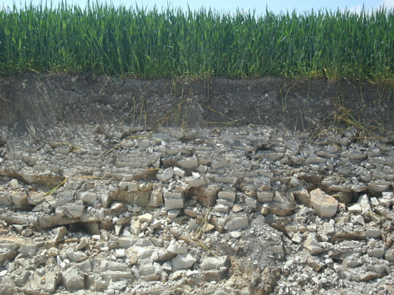 Profil glebowy