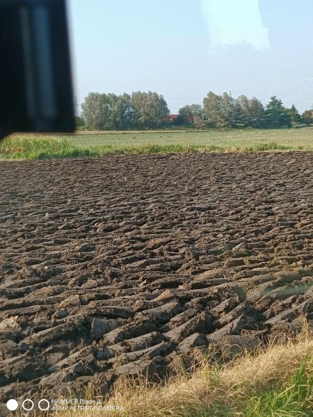 Mady na Żuławach