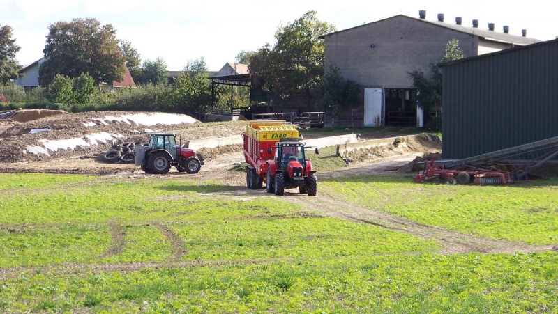 MF 5455 + Pottinger Faro 4000D
