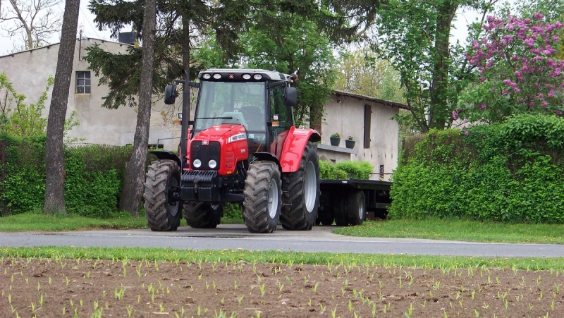 MF 5455