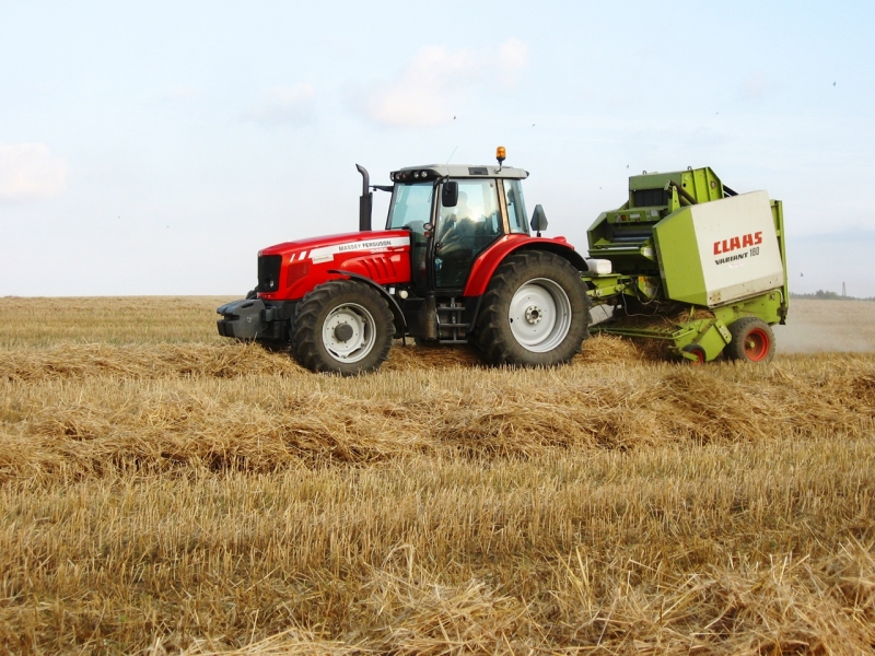 Massey Ferguson 5465 Dyna 4 + Claas Variant 180