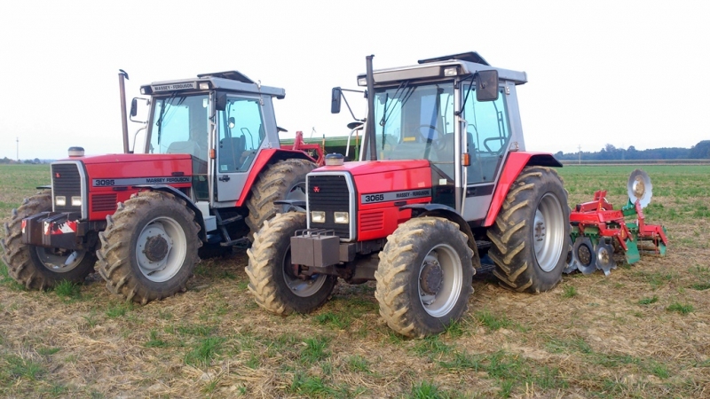 MF 3065 i 3095 Agro-Masze i Amazone