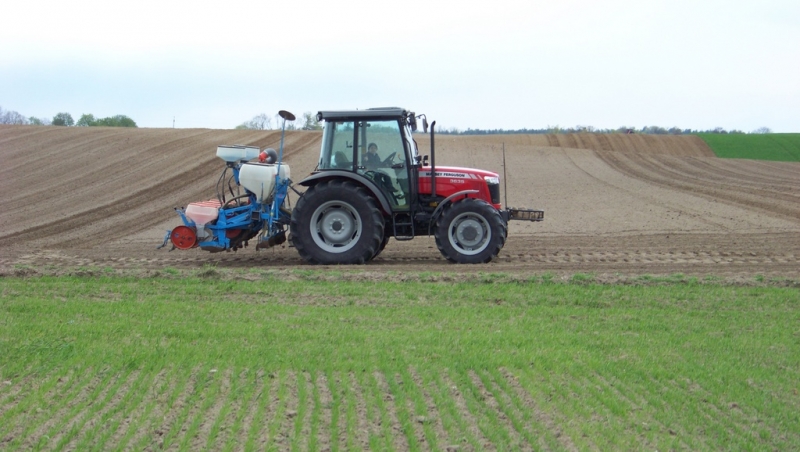 MF 3635 + Monosem NC Clasic