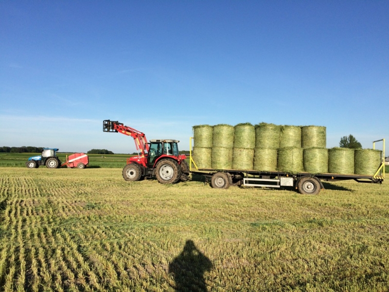 Massey Ferguson & platforma