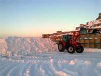 Massey Ferguson 5435 + Stoll Robust F15