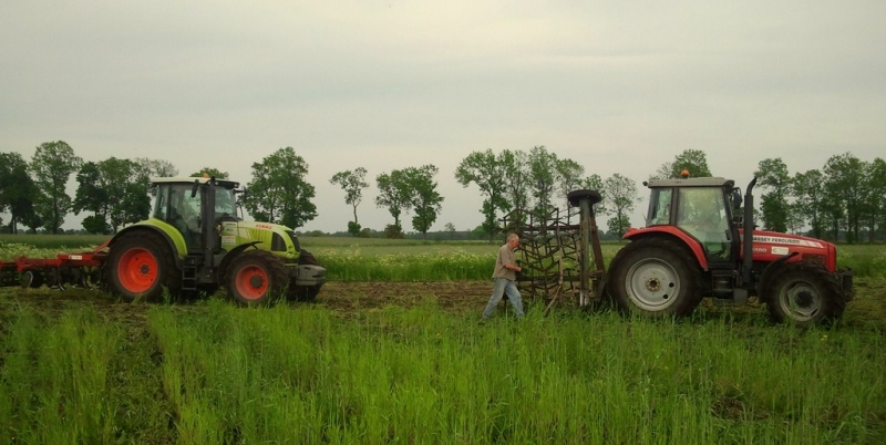 MF 6480 i Claas Arion 630