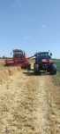 Bizon super z056 i Massey Ferguson 6280 i przyczepą