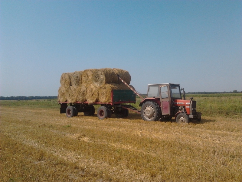 Massey Ferguson 255 + Autosan d-83