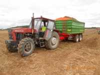 Ursus 1014 I Pronar PT512