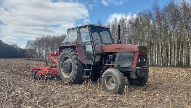 Różowa Pantera + Grano Shark 3m