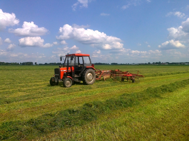 Ursus 3512 & Fella