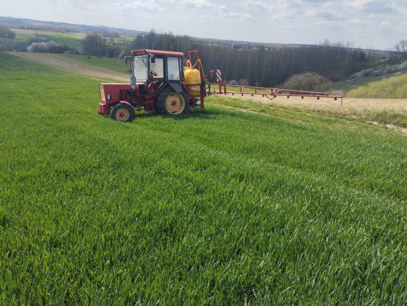 Władymirec T25 i Tadlen TL412