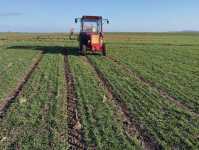 T25 i Tadlen TL412