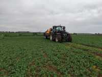 Valtra T175V+Amazone UX4200 Special