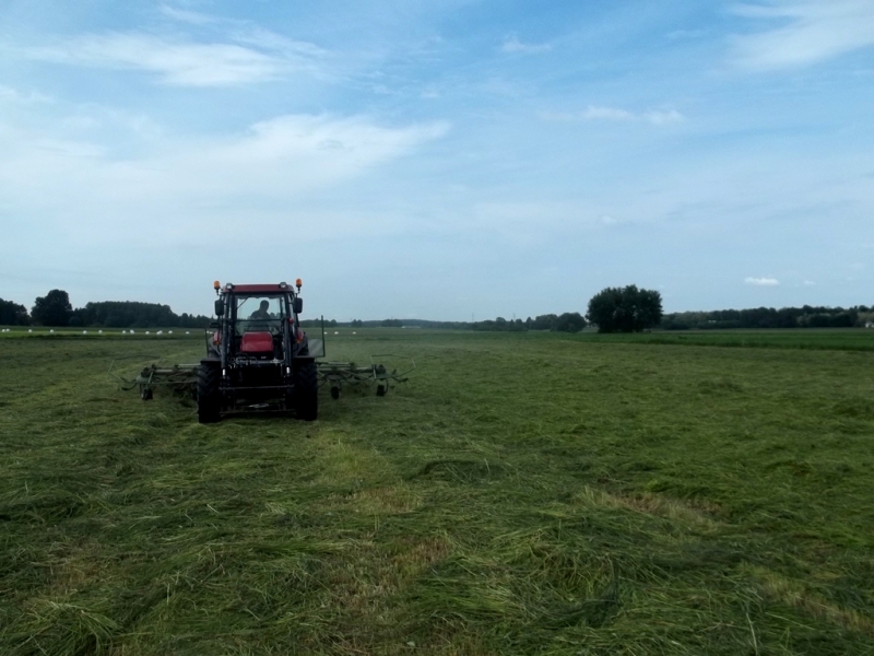 Case JX90 + Krone