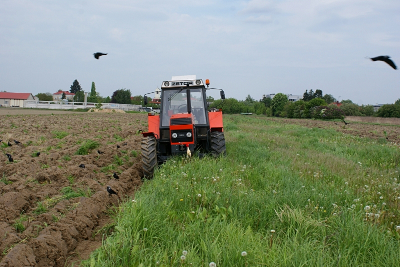 Zetor 12145