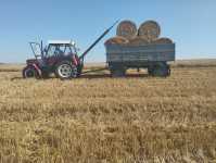 Zetor 6245 i Autosan D47