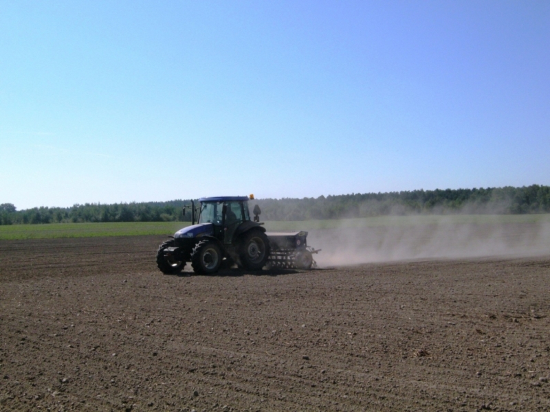 New Holland TD5030 + Mazur 5