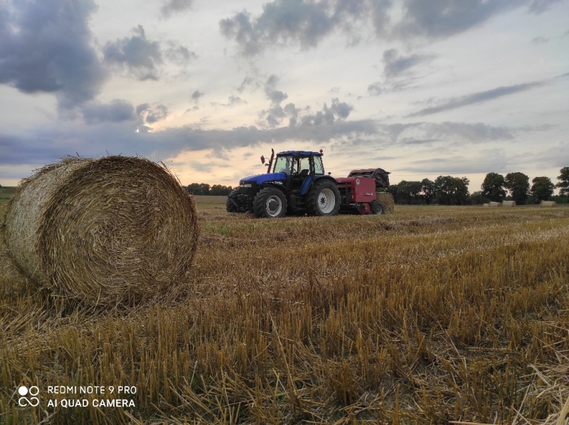 New Holland TM 165 / Feraboli