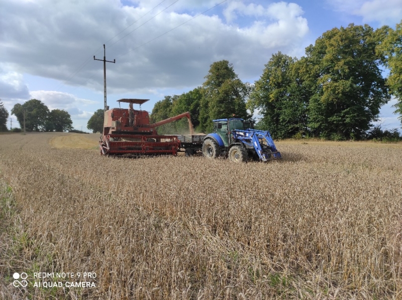 New Holland T5.105 / Bizon