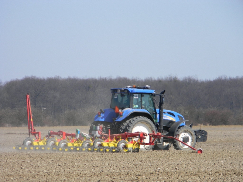 New Holland