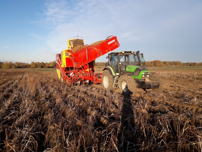 Deutz Fahr Agrotron 130 i Grimme SE 260