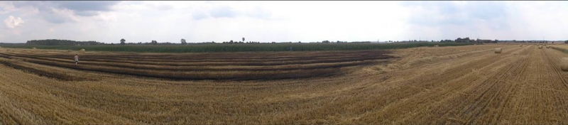 Pożar ścierniska