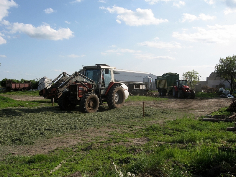 Massey'e Fergusony 3075&5465