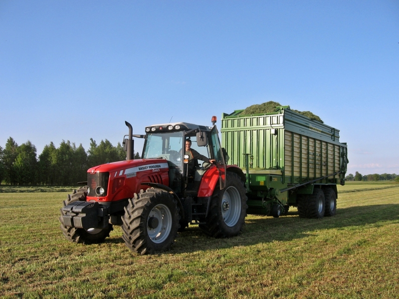 MF 5465 + Krone MX350GD