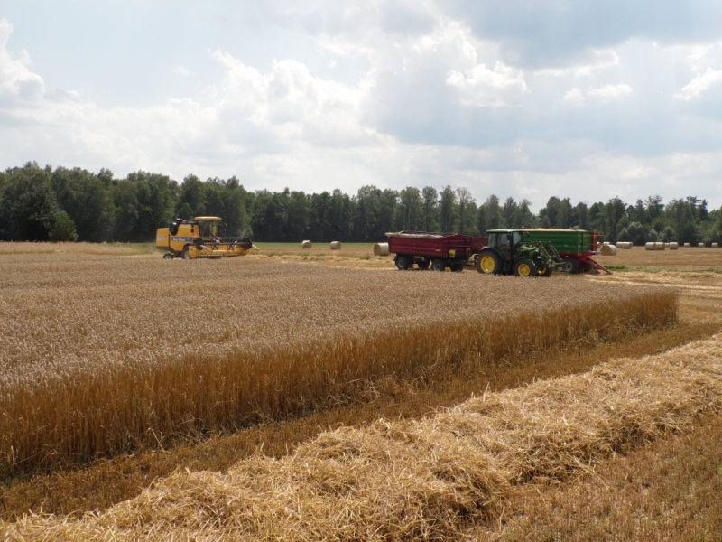 John Deere 5080R +Zasław 8t