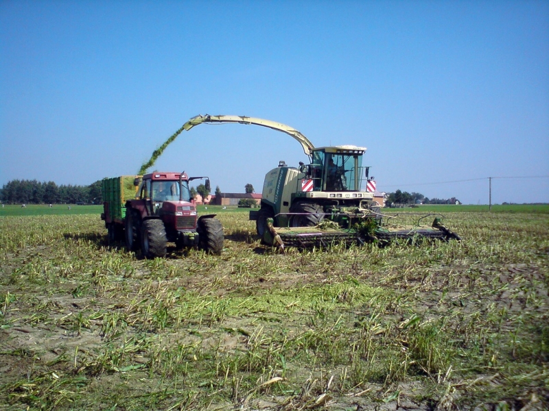 Krone i Case