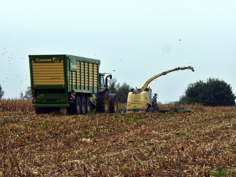 JD i Krone TX 560 & Krone Big X 1100