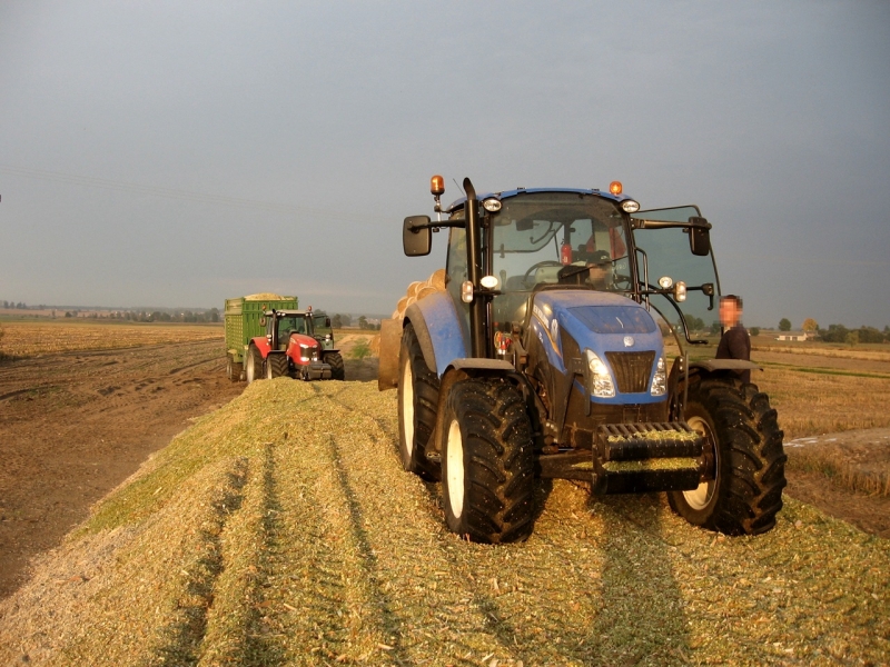 New Holland T5.95 & Massey Ferguson 7619 + Krone MX 350GD