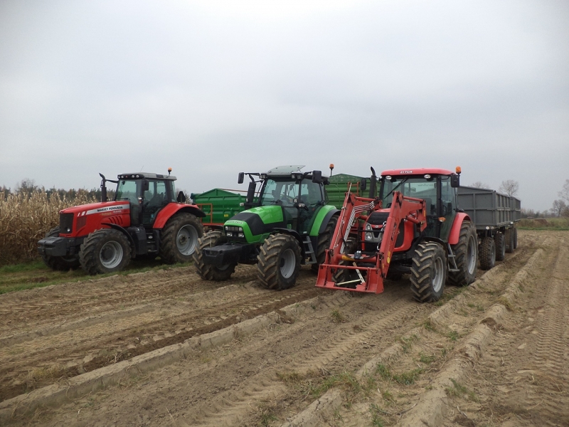 MF DF Zetor