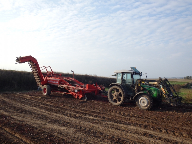 DF Agroplus 67 & Grimme DL 1500