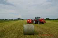 Massey Ferguson & Metal Fach