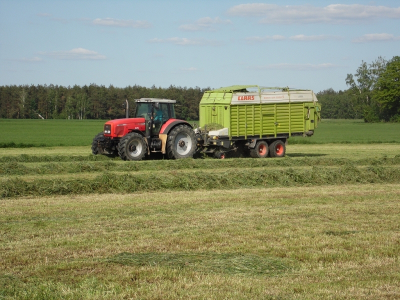 MF 8250 i Claas Quantum 5500S