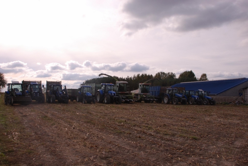 New Holland x 8 & Claas Jaguar x 2