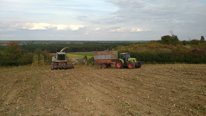 Claas Jaguar 860