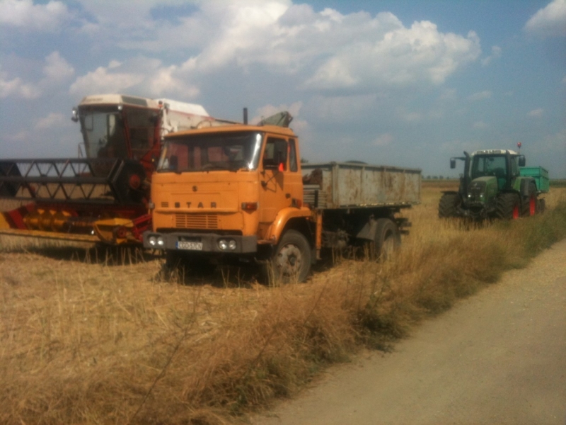 Rzepak 2013