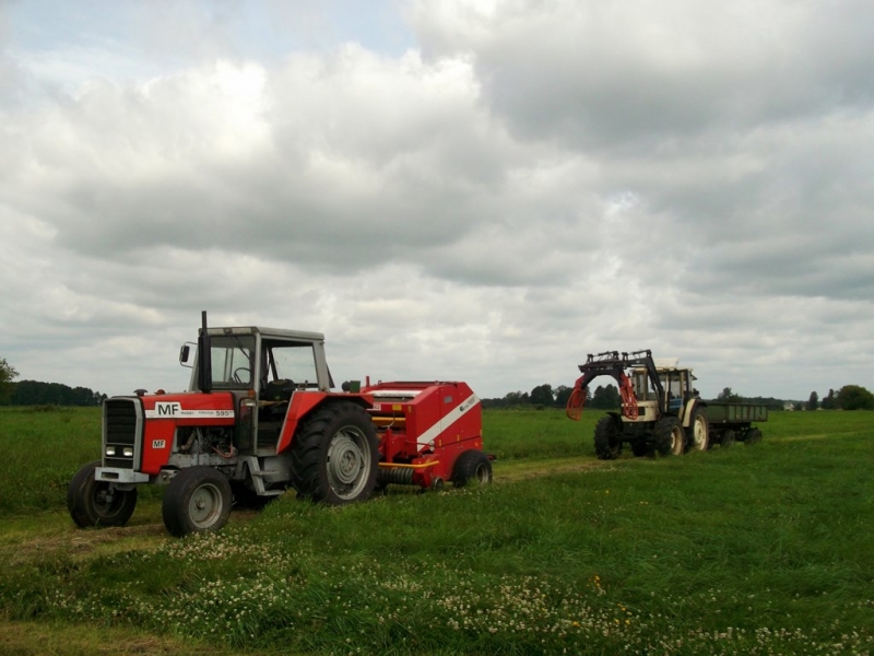 Lamborghini & Massey Ferguson