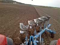 Lemken