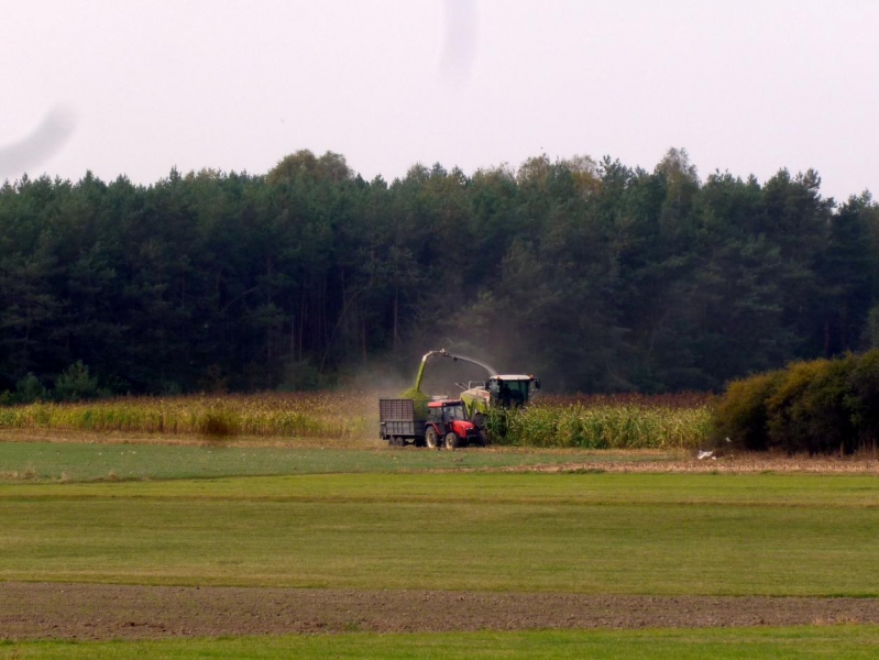 Claas Jaguar 940