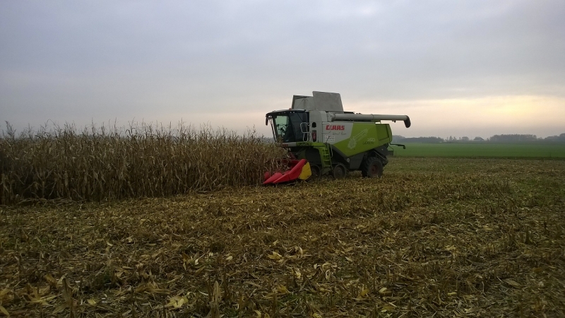 Claas Lexion 750 Helmut