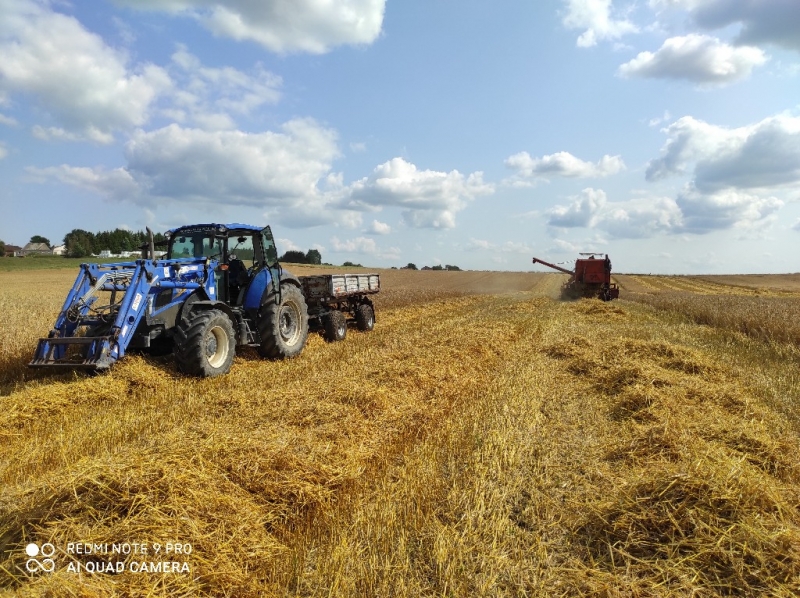 Bizon ZO-56 / New Holland T.105