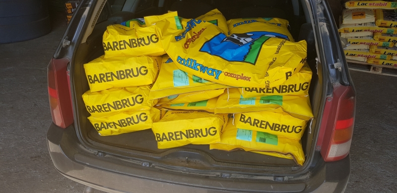 Barenbrug BG 8