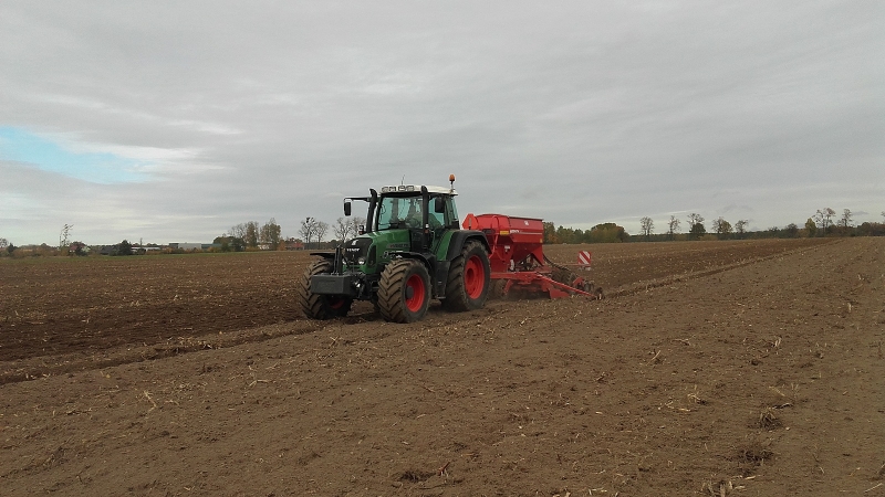 F1 + Horsch