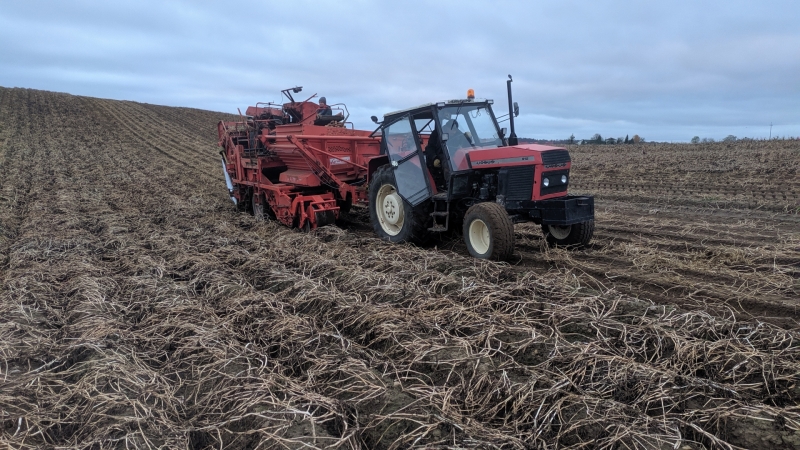 Ursus 912 + Grimme SL 750