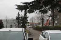 widok z okna widok z okna